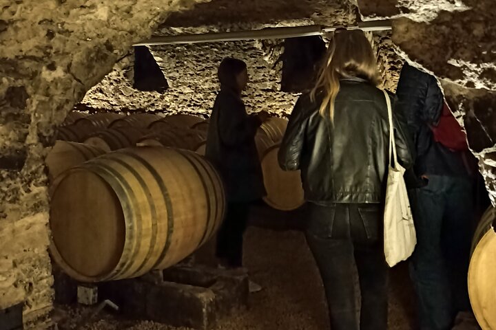 Half-Day Guided Tour with Tasting of Beaujolais Wines