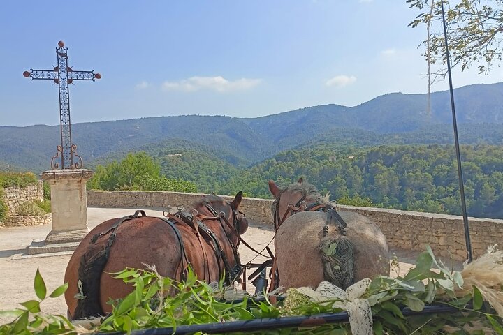 Carriage rides in the heart of the Luberon