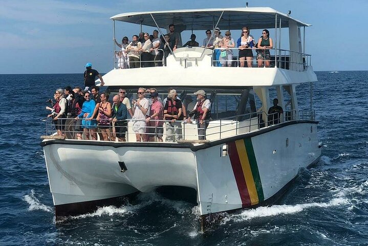 Whale Watching Mirissa with WWC