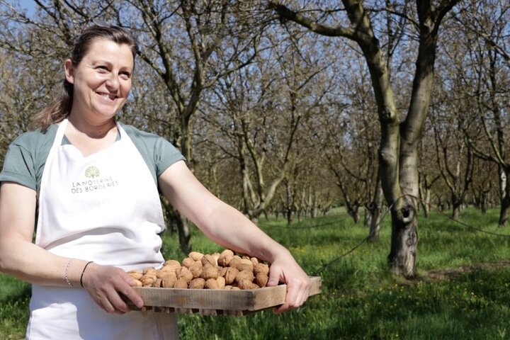 Lunch in the Shadow of the Walnuts, with Wine tasting tour
