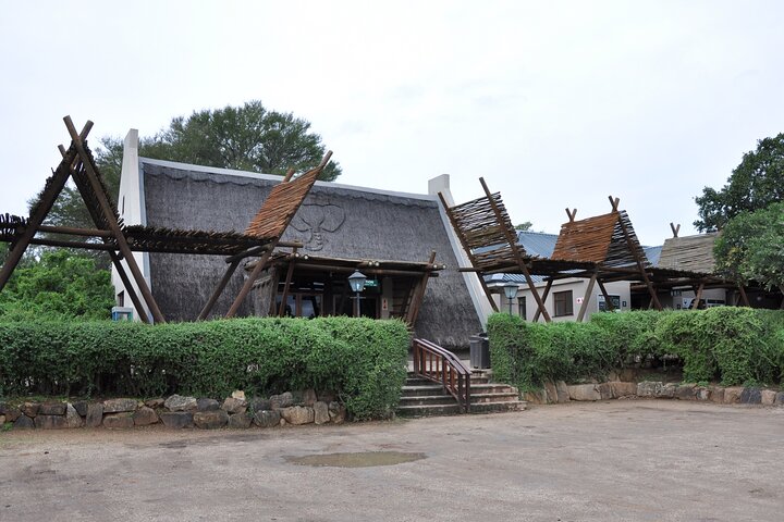 Addo Elephant Park All-Inclusive Day Safari from Port Elizabeth