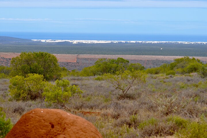 Addo Elephant Park All-Inclusive Day Safari from Port Elizabeth
