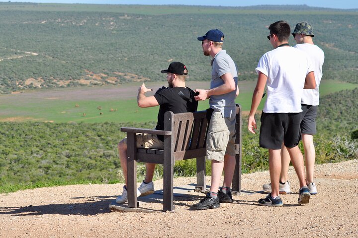 Addo Elephant Park All-Inclusive Day Safari from Port Elizabeth