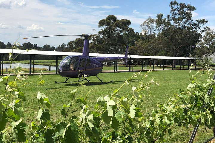 3 Hour Helicopter Wine Tasting Tour in Hunter Valley
