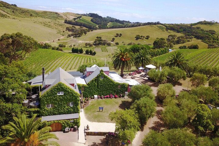 Auckland: Waiheke Island Wine Tour + Tastings & Beachfront Lunch