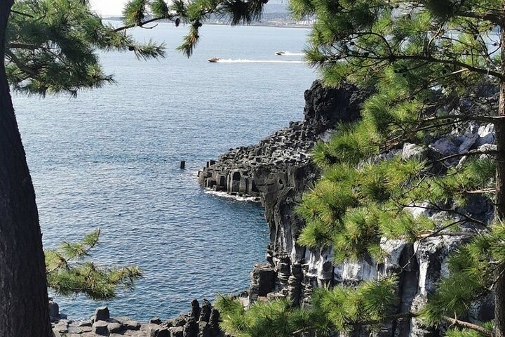 Jeju Island English Private & Flexible Tour any number anywhere