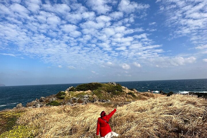 Jeju Island English Private & Flexible Tour any number anywhere
