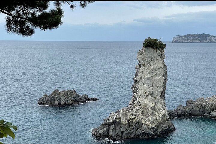 Jeju Island English Private & Flexible Tour any number anywhere