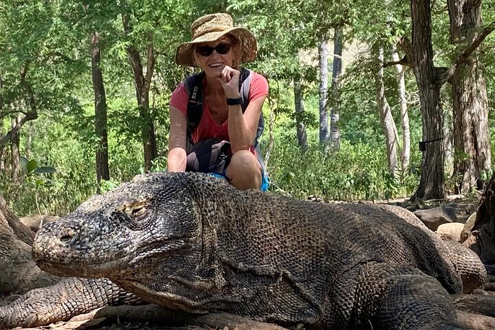 1 Day Komodo Trip by Private Speedboat