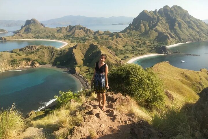 1 Day Komodo Trip by Private Speedboat