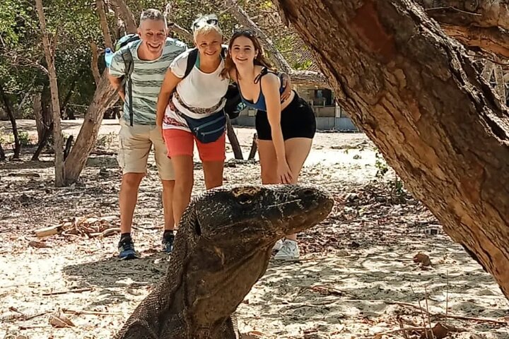 1 Day Komodo Trip by Private Speedboat