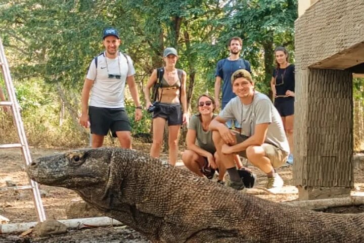 1 Day Komodo Trip by Private Speedboat