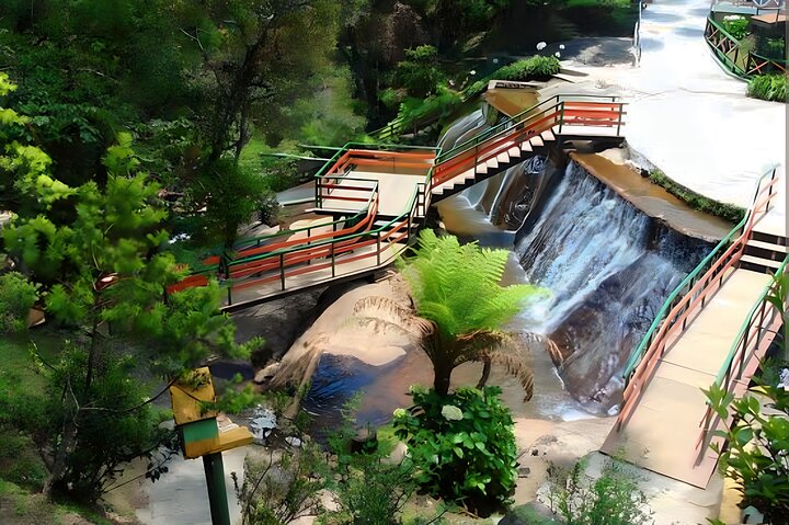 The Brazilian Switzerland - Full Day Trip on Campos do Jordão from São Paulo