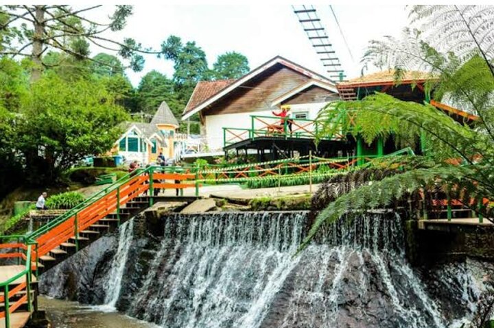 The Brazilian Switzerland - Full Day Trip on Campos do Jordão from São Paulo