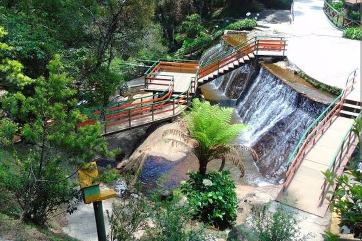 The Brazilian Switzerland - Full Day Trip on Campos do Jordão from São Paulo