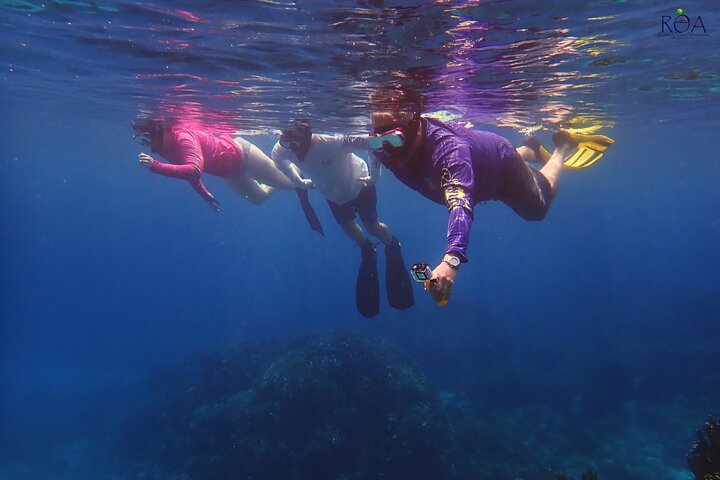 Roatan Drift Snorkel and Monkey/Sloth Sanctuary Tour