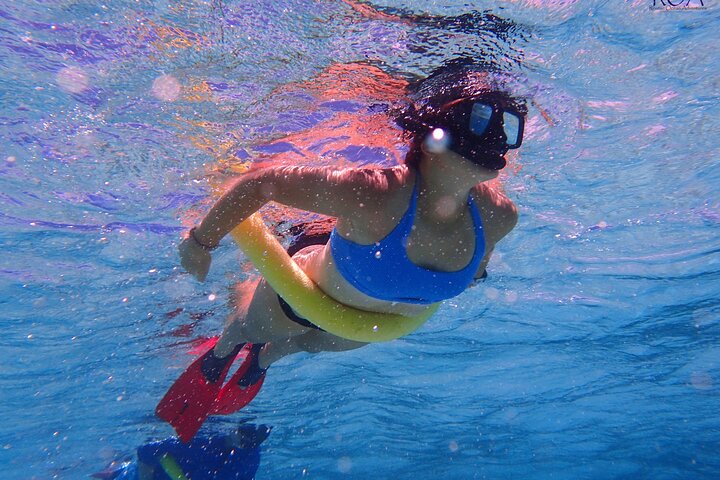 Roatan Drift Snorkel and Monkey/Sloth Sanctuary Tour