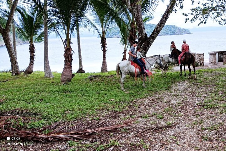 1 1/2 hours Tour Horseback Riding and Visiting the Beach