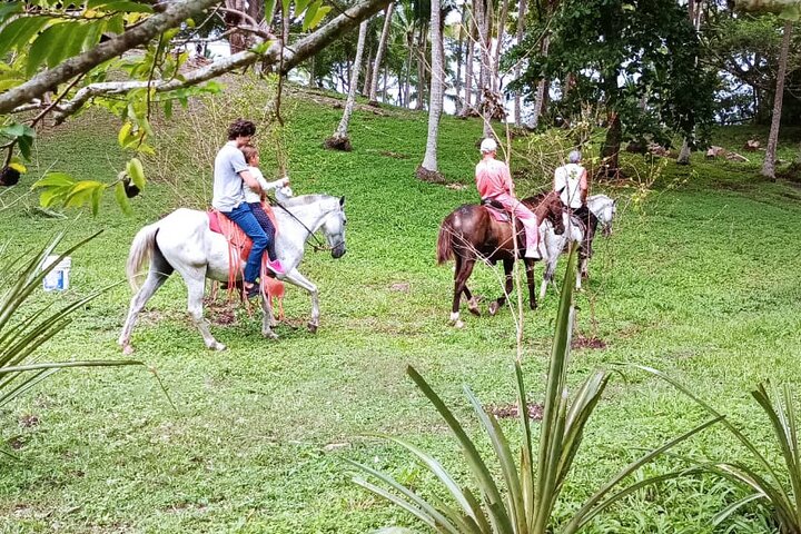 1 1/2 hours Tour Horseback Riding and Visiting the Beach