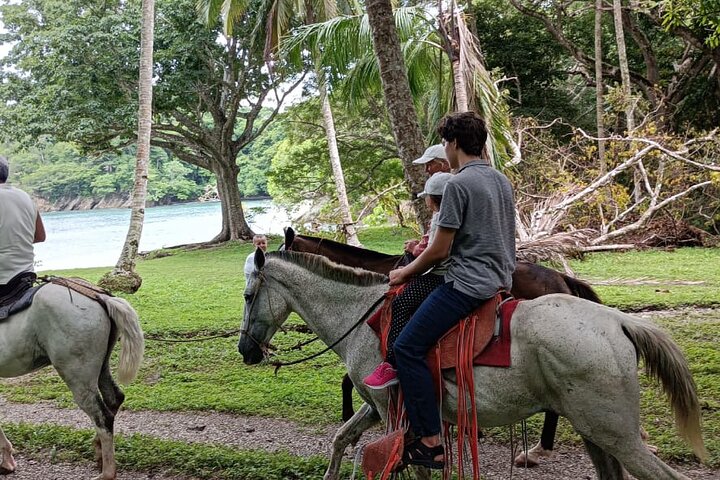 1 1/2 hours Tour Horseback Riding and Visiting the Beach