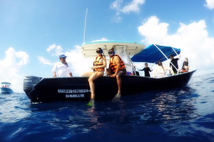Swim with Whale Shark from Isla Mujeres and Cancun