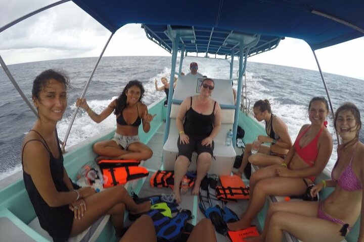 Swim with Whale Shark from Isla Mujeres and Cancun