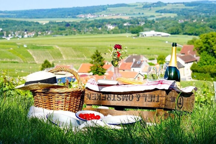 Discover The Cellars in The Heart of The Countryside in Champagne