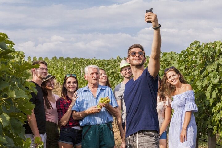 Discover The Cellars in The Heart of The Countryside in Champagne