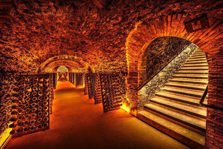 Discover The Cellars in The Heart of The Countryside in Champagne