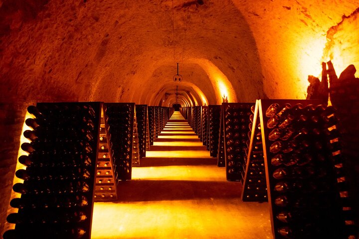 Discover The Cellars in The Heart of The Countryside in Champagne