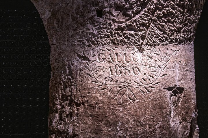 Discover The Cellars in The Heart of The Countryside in Champagne
