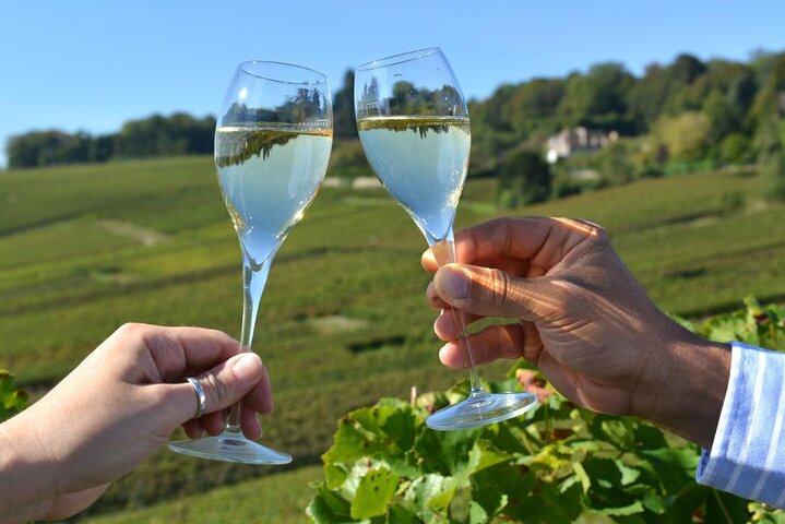 Discover The Cellars in The Heart of The Countryside in Champagne