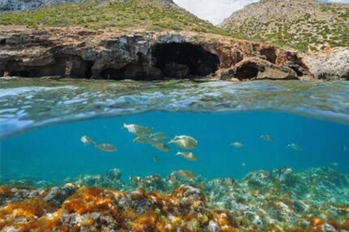 A day at sea in Cala Blanca with paella and jet ski