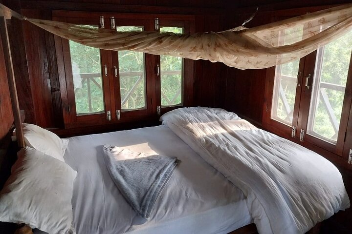 Jungle Towernight Stay: 4-Day Tour in Chitwan National Park