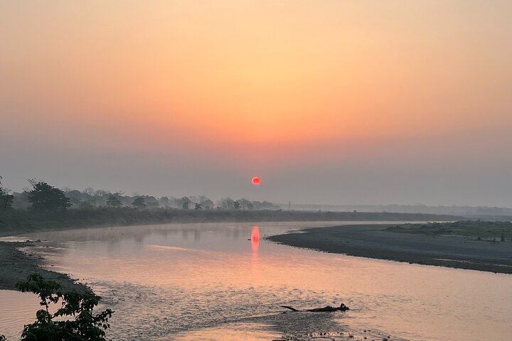 Jungle Towernight Stay: 4-Day Tour in Chitwan National Park