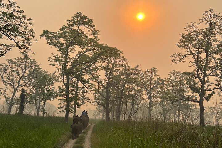 Jungle Towernight Stay: 4-Day Tour in Chitwan National Park
