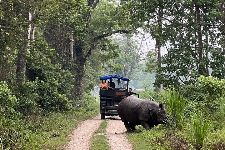 Jungle Towernight Stay: 4-Day Tour in Chitwan National Park