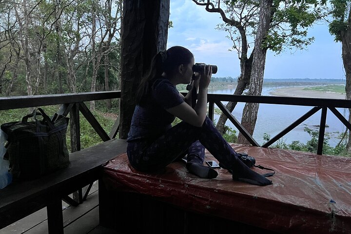 Jungle Towernight Stay: 4-Day Tour in Chitwan National Park