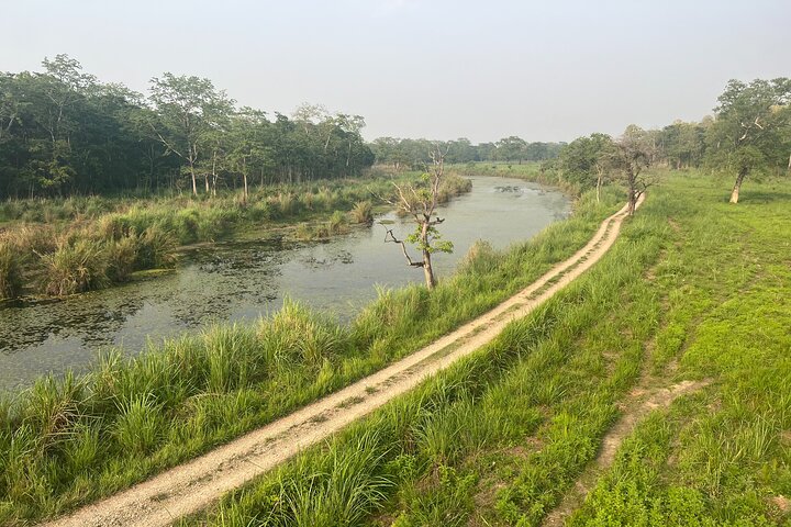 Jungle Towernight Stay: 4-Day Tour in Chitwan National Park