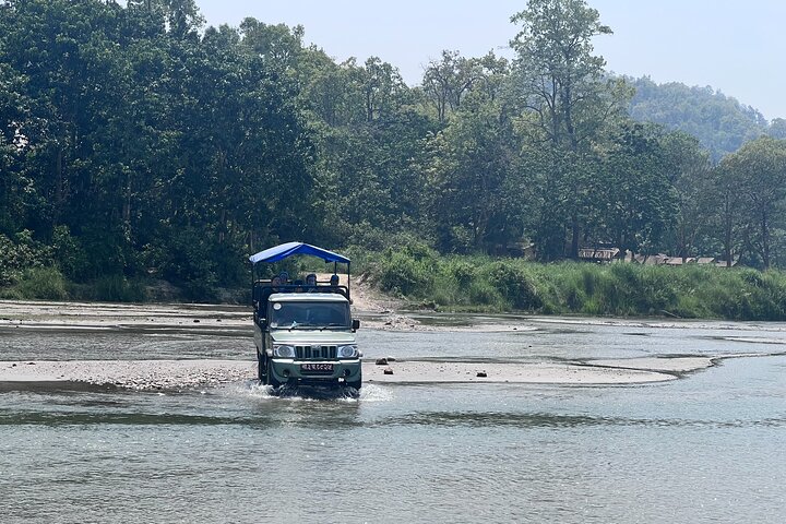 5 Days and 4 Nights Guided Walking Tour in Chitwan National Park
