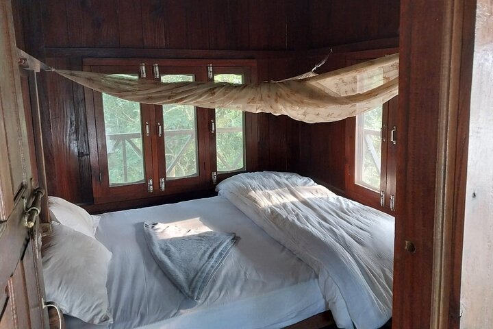 Jungle Towernight Stay In Chitwan National Park ,nepal-2 Nights 3 Days Package