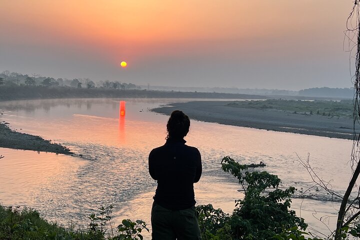 Jungle Towernight Stay In Chitwan National Park ,nepal-2 Nights 3 Days Package
