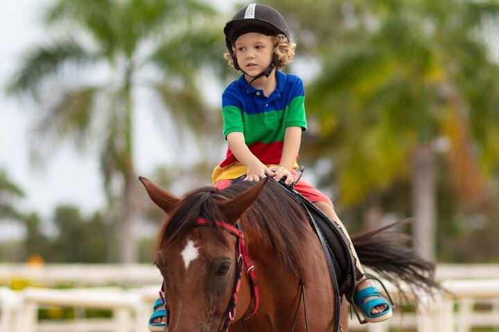 Fethiye Horse Riding - Professional Instructor & Friendly Horses