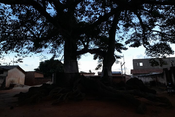 Day Trip to Agbodrafo Togoville and Aneho