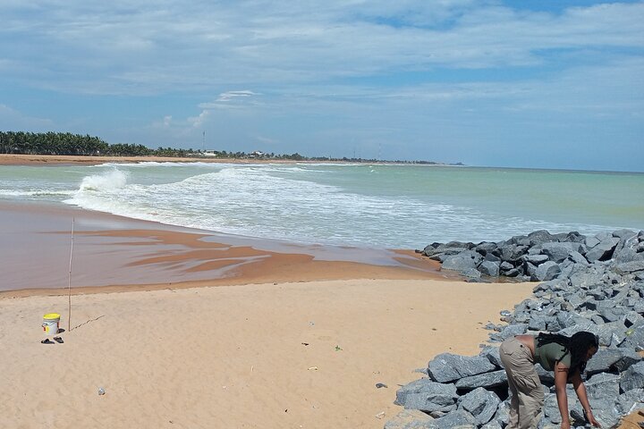 Day Trip to Agbodrafo Togoville and Aneho
