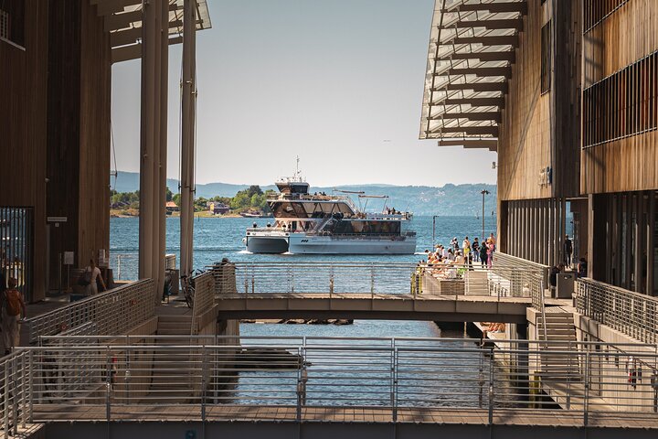 Guided Sightseeing Cruise on Oslofjord by Premium Silent Boat
