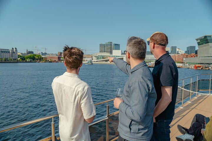 Guided Sightseeing Cruise on Oslofjord by Premium Silent Boat