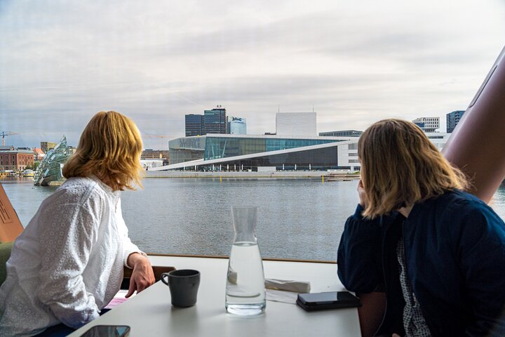 Guided Sightseeing Cruise on Oslofjord by Premium Silent Boat