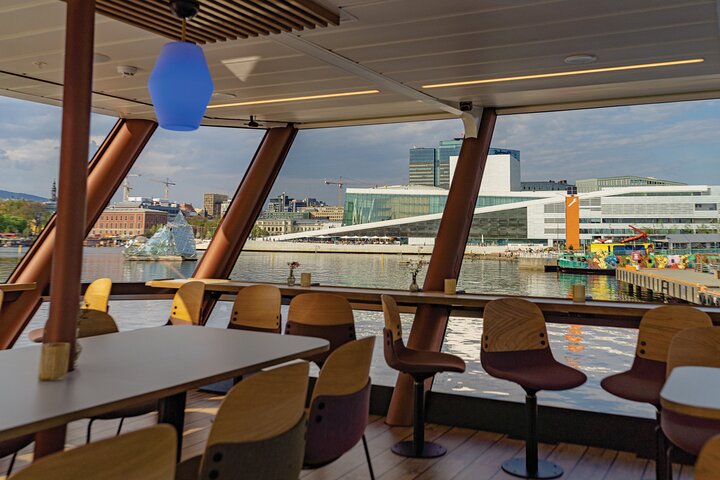 Guided Sightseeing Cruise on Oslofjord by Premium Silent Boat