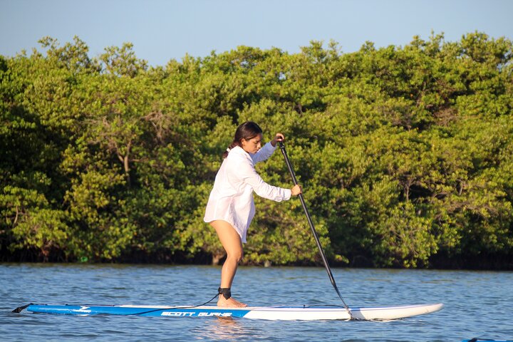 Learn Paddle Board and Explore the Mangroves of Progreso